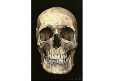 Damien Hirst, Lobanja ispod kože (The Skull Beneath the Skin), 2005, fotografija Prudence Cuming Associates, Paul Stolper Gallery